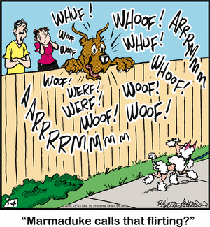 marmaduke
